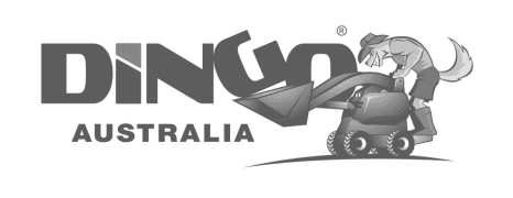 Dingo Australia